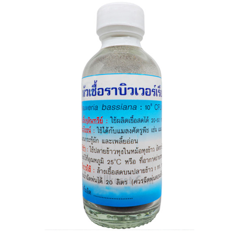 หัวเชื้อราบิวเวอร์เรีย