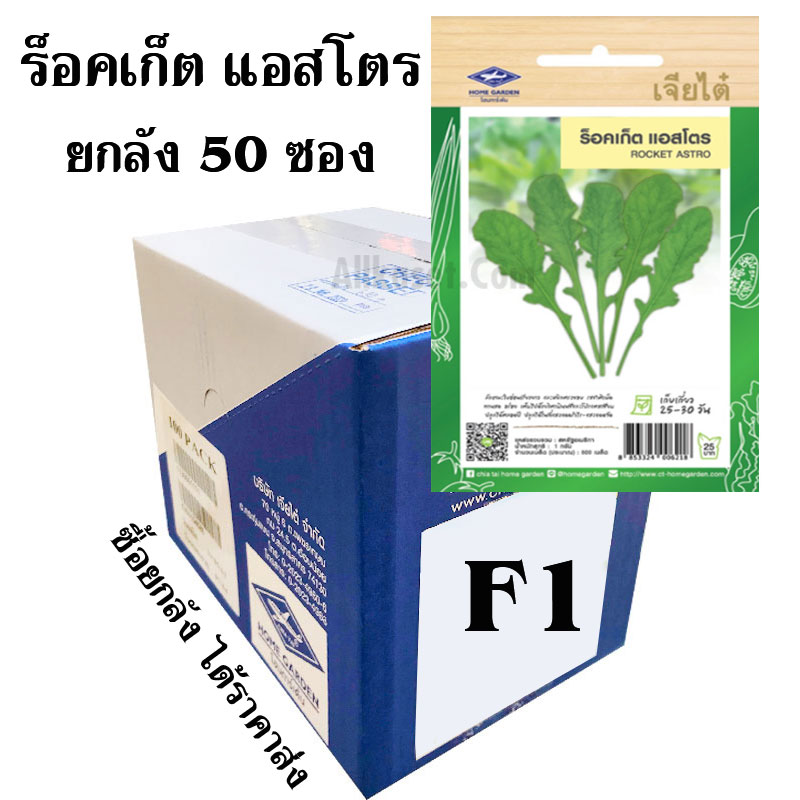 My Image 1