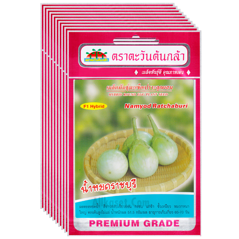 เมล็ดF1ยกห่อตะวันต้นกล1