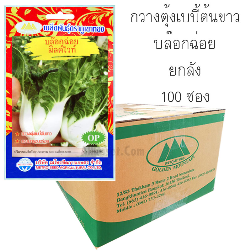 My Image 26