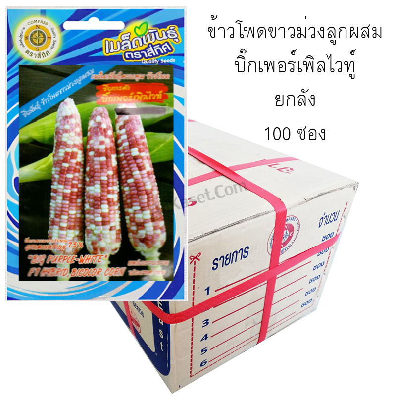 My Image 22