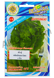 àÁÅ紼ѡ¡Ò´ËÍÁ¾Ñ¹¸ØìÊÅÑ´ºÑµàµÍÃìàδ