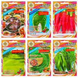 เมล็ดพันธุ์ผักสี่ทิศ