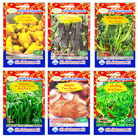 เมล็ดพันธุ์ OP ภูเขาทอง