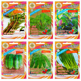 เมล็ดพันธุ์ สี่ทิศ 2