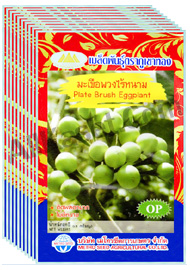 เมล็ดมะเขือพวงไร้หนาม