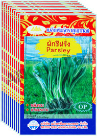 เมล็ดพันธุ์ผักชีฝรั่ง