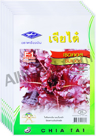 เมล็ดเรดคอส ซัมเมอร์