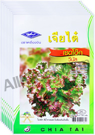 เมล็ดเรดโอ๊ค วีนัส