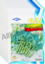 เมล็ดพันธุ์คะน้าฮ่องกง