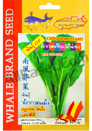 ผักกาดเขียว(ผักกาดแม้ว)