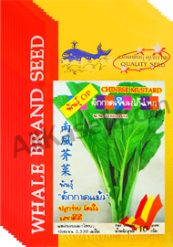 ผักกาดเขียว ผักกาดแม้ว