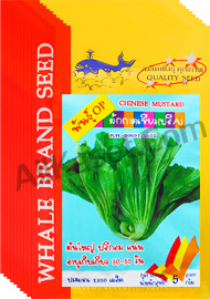 เมล็ดผักกาดเขียว(ปลีA)