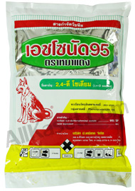 เอซโซนัด95