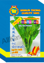 ผักกาดเขียว ผักกาดแม้ว