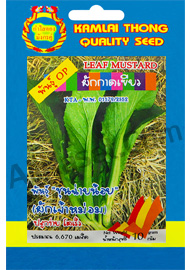 ผักกาดเขียวชุ่นฉ่ายน้อย