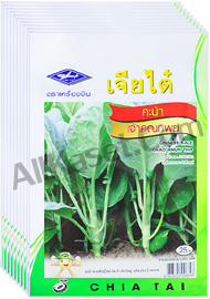 เมล็ดคะน้าเจ้าคุณทิพย์