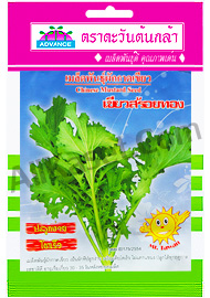 ผักกาดเขียว สร้อยทอง