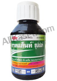 กาลแล็นท์ ซุปเปอร์