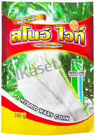 ข้าวโพด สโนว์ ไวท์