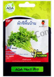 ผักชีพื้นบ้าน วู้ดดี้