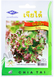 เมล็ดเรดโอ๊ค วีนัส