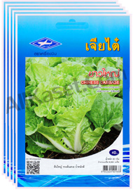 ผักกาดขาว ขาวใหญ่