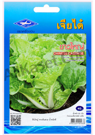 เมล็ดผักกาดขาว ขาวใหญ่