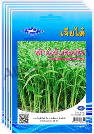 เมล็ดผักบุ้งจีน เรียวไผ