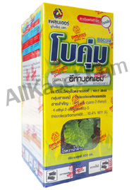 โบคุ่ม อีทาบอกแซม