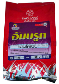 ฮัมบรูก