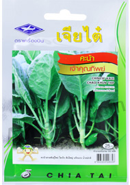 เมล็ดคะน้า เจ้าคุณทิพย์