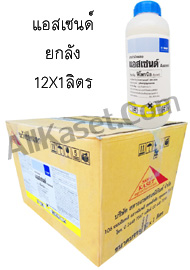 แอสเซนด์