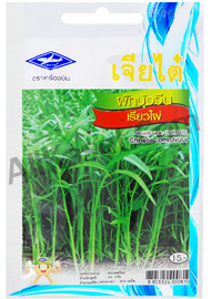 เมล็ดผักบุ้งจีนเรียวไผ่