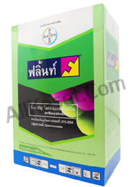 ฟลิ้นท์ ยกกล่อง