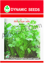 เมล็ดผักชี ทวีคูณ พลัส