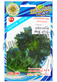 สลัดเรดโอ๊ค ยุโรป