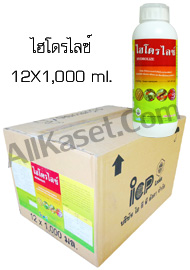 ไฮโดรไลซ์ ยกลัง