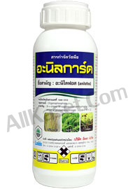 อะนิลการ์ด