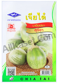 เมล็ดมะเขือเปราะ สุริยา