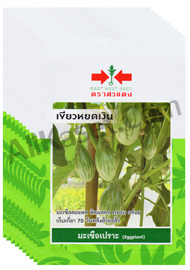 มะเขือเปราะเขียวหยดเงิน