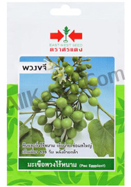 เมล็ดมะเขือพวงไร้หนาม พ