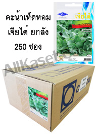 คะน้าเห็ดหอม ยกลัง