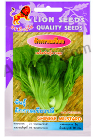 ผักกาดเขียวปลี