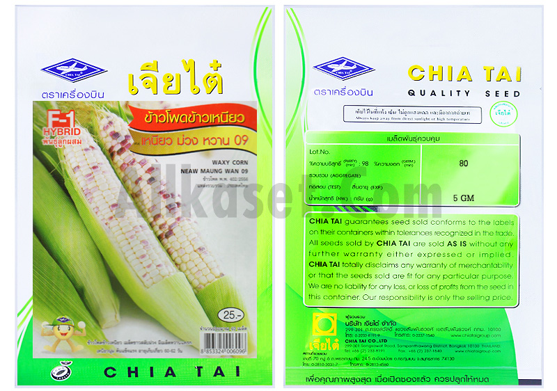 รูป เมล็ดข้าวโพดข้าวเหนียว เหนียว ม่วง หวาน 09 ขนาด 1 ซอง