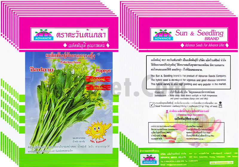 รูป เมล็ดกวางตุ้ง ป๊อปอาย ตราตะวันต้นกล้า ขนาด 1 ซอง