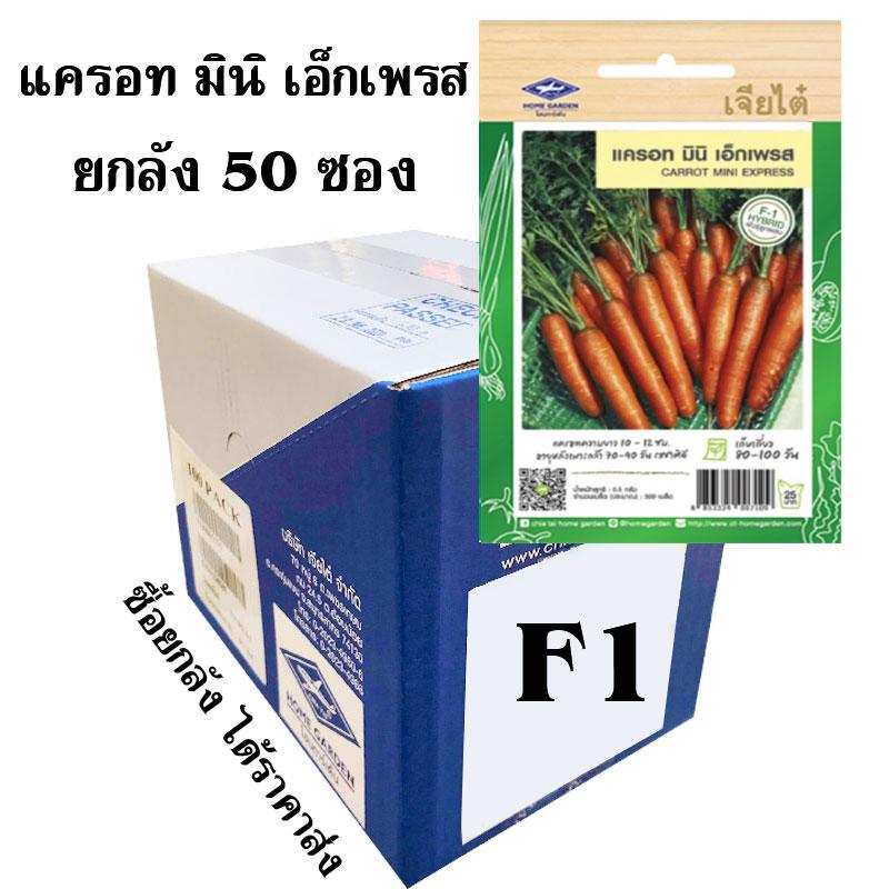 My Image 19