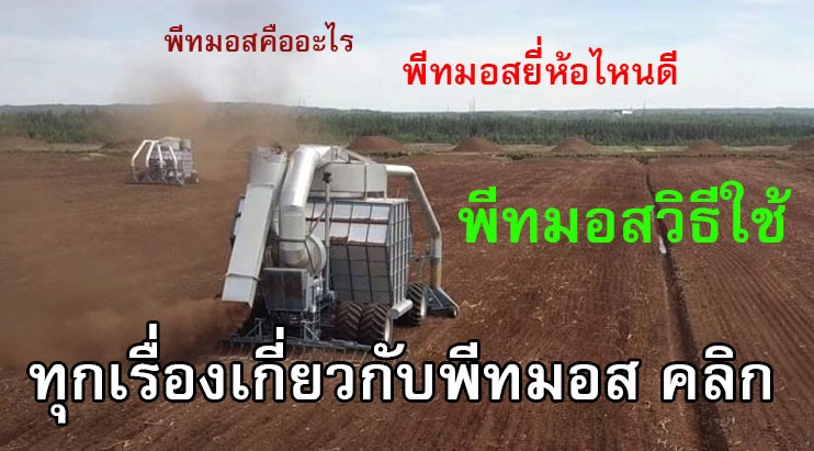 พีทมอสอะไร