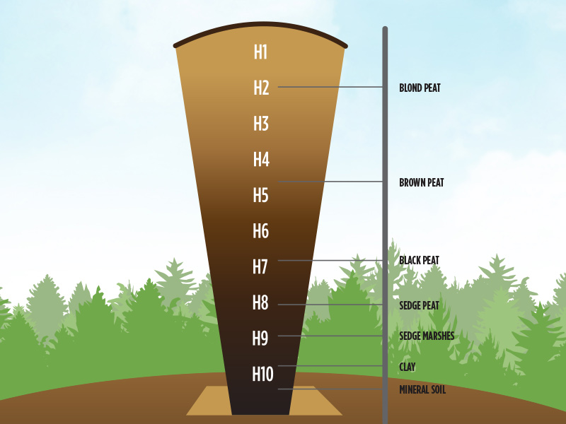 แผนภูมิภาพ Von Post Scale