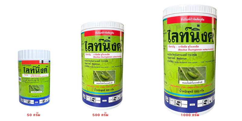 รูปบาซิลลัสทูริงเยนซิส